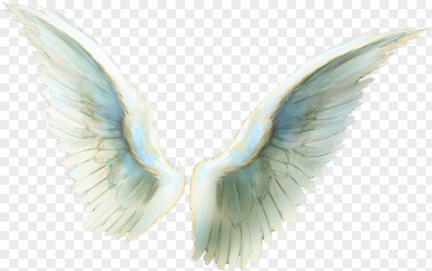 Angel Archangel Light Michael Chakra PNG
