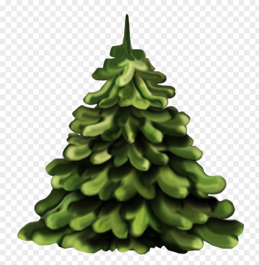 Christmas Tree Day Spruce PNG