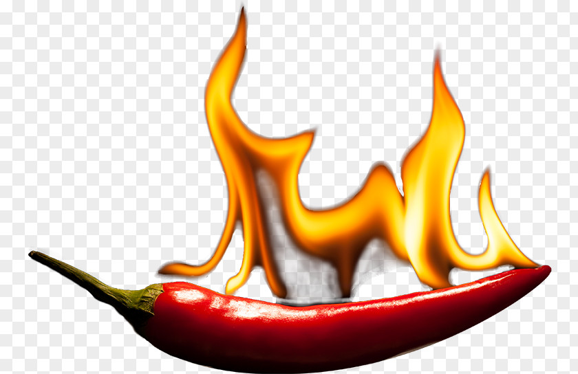 Gesang Chili Pepper Bell Clip Art Orange S.A. Peppers PNG