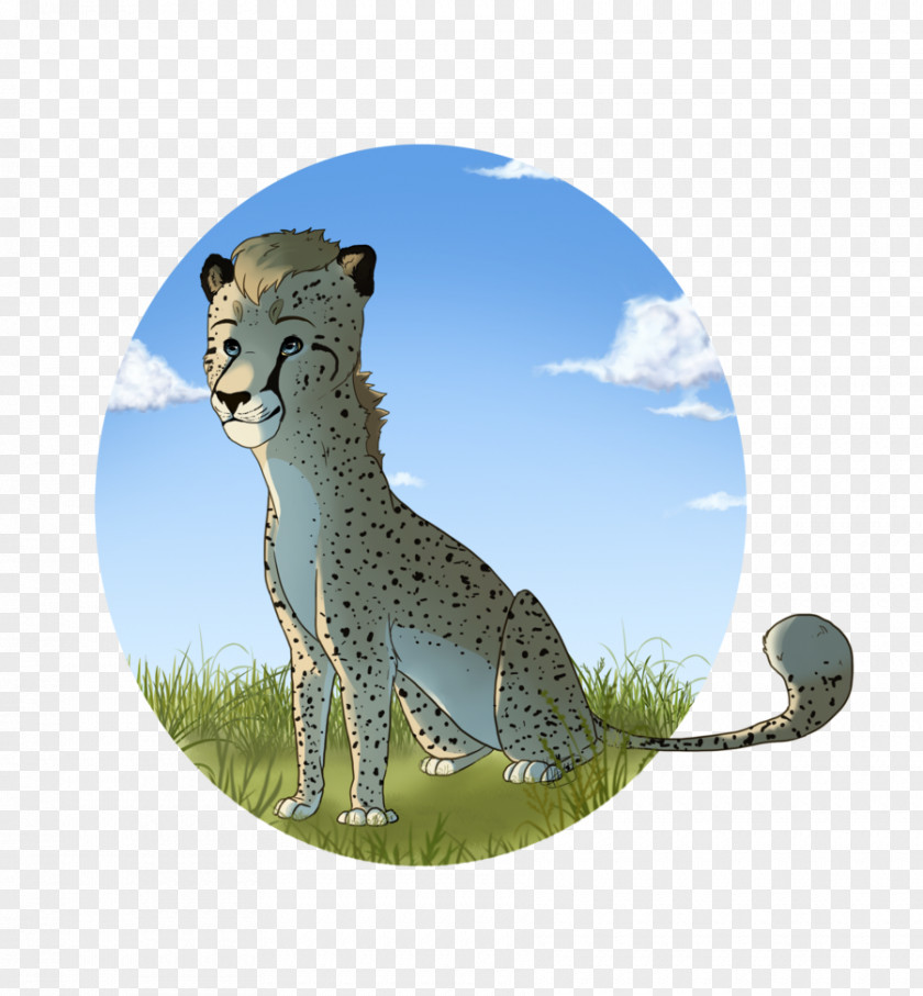 Just One Day Cheetah Leopard Cat Ecosystem Fauna PNG