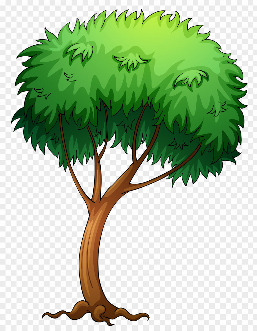 Painted Tree Clipart Picture Clip Art PNG