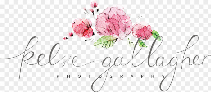 Photographer Floral Design Portrait Photography PNG