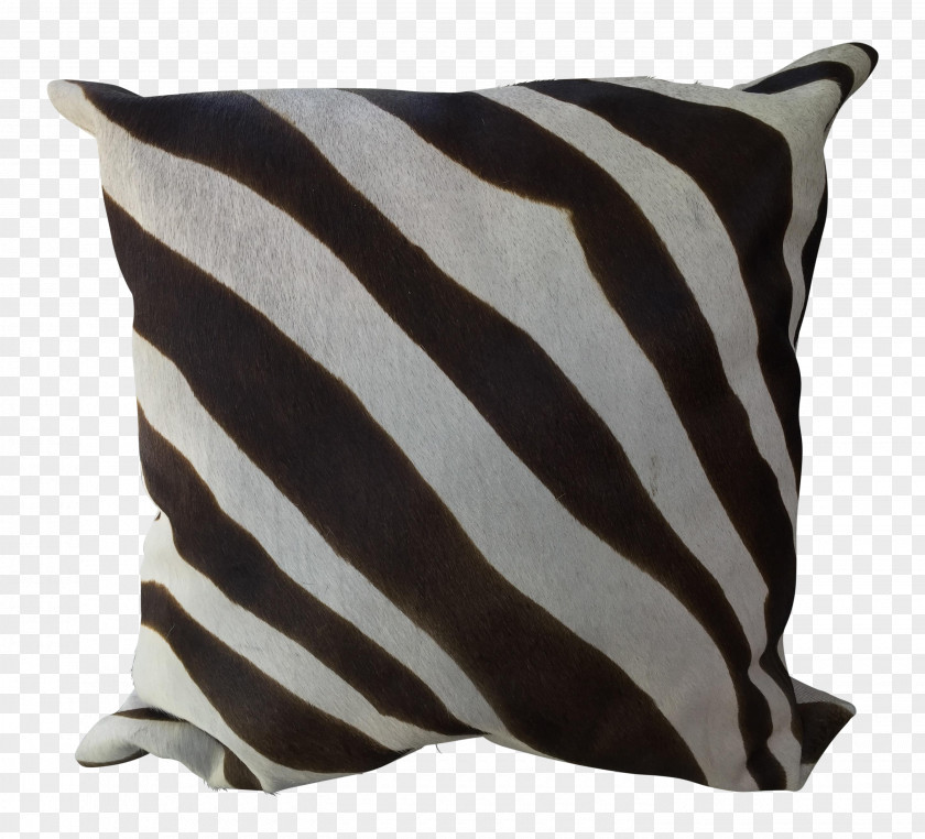 Pillow Cushion Throw Pillows Decorative Designer PNG