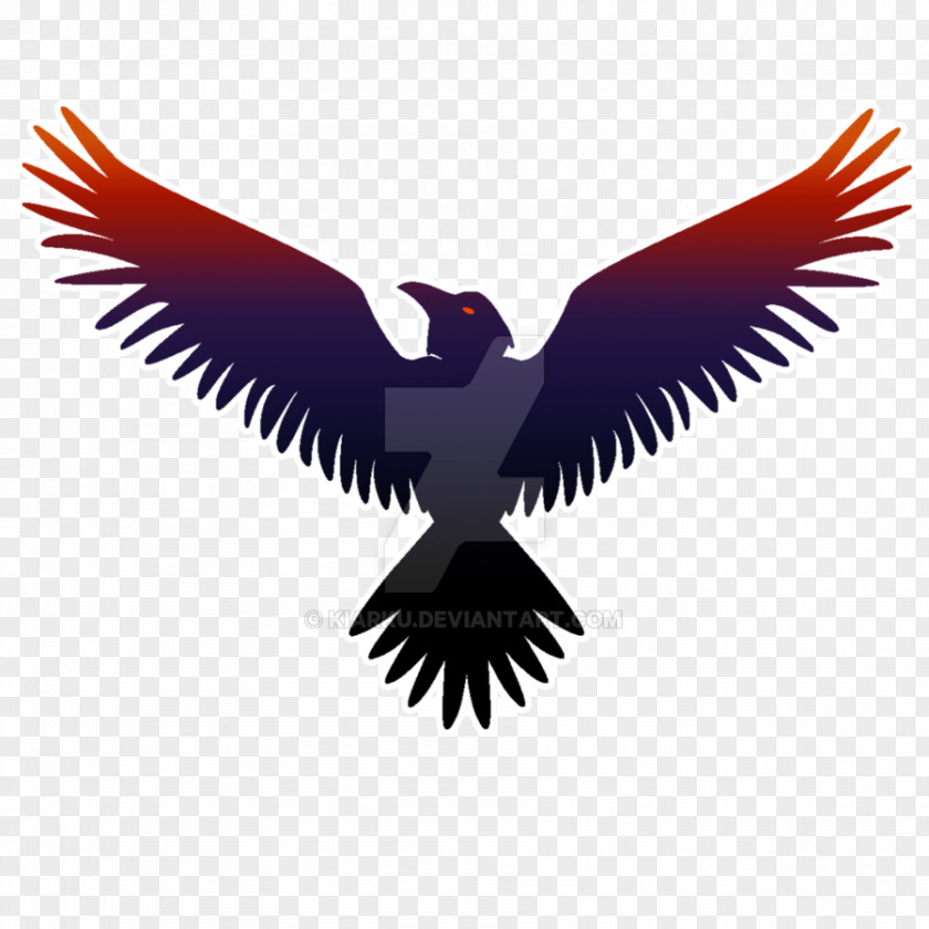 Raven Logo Baltimore Ravens Common NFL PNG