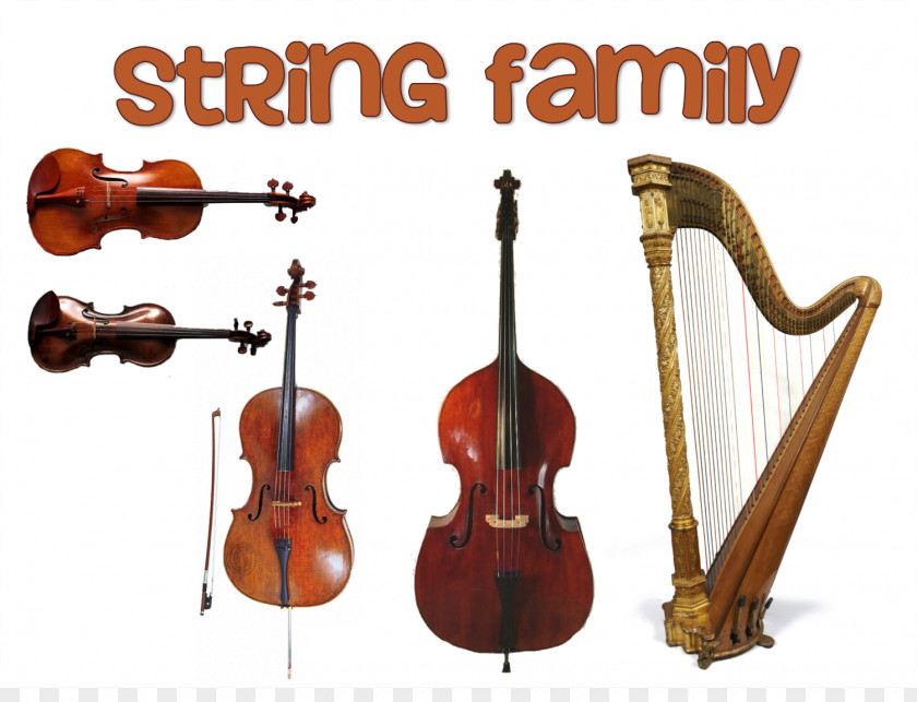 String Instruments Cliparts Family Musical Orchestra Violin PNG