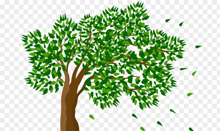 Tree Vector Clip Art Image Transparency PNG