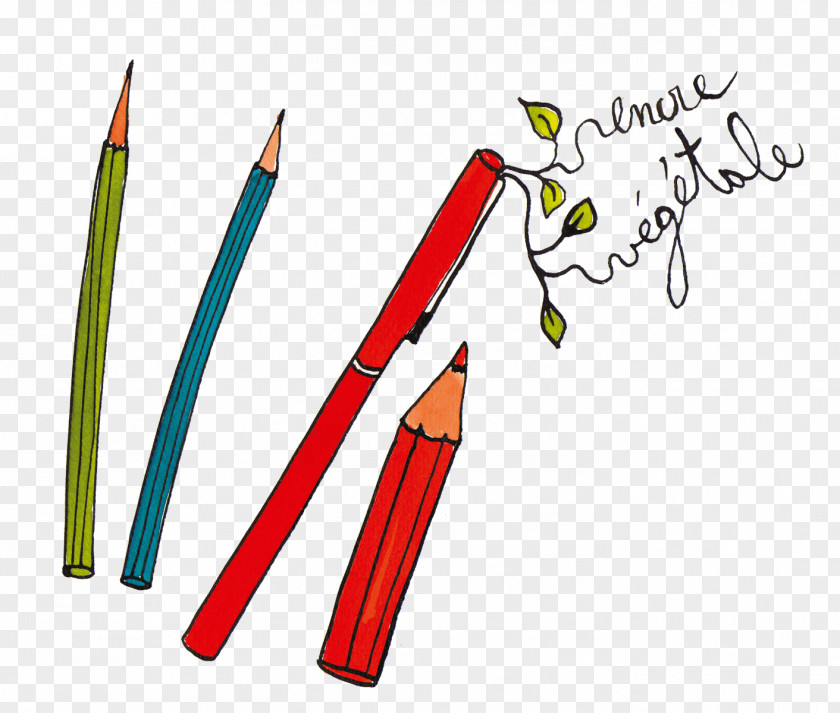 100 Rainbow Crayons Paper Pencil Scissors Water School PNG