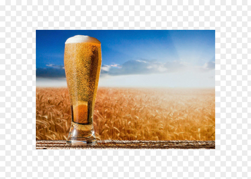 Beer Brewing Grains & Malts Brewer's Yeast Home-Brewing Winemaking Supplies PNG