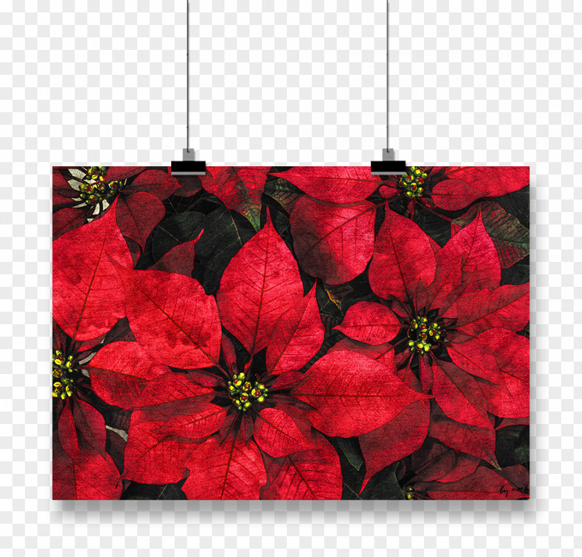 Christmas Paper Poinsettia Card Poster PNG