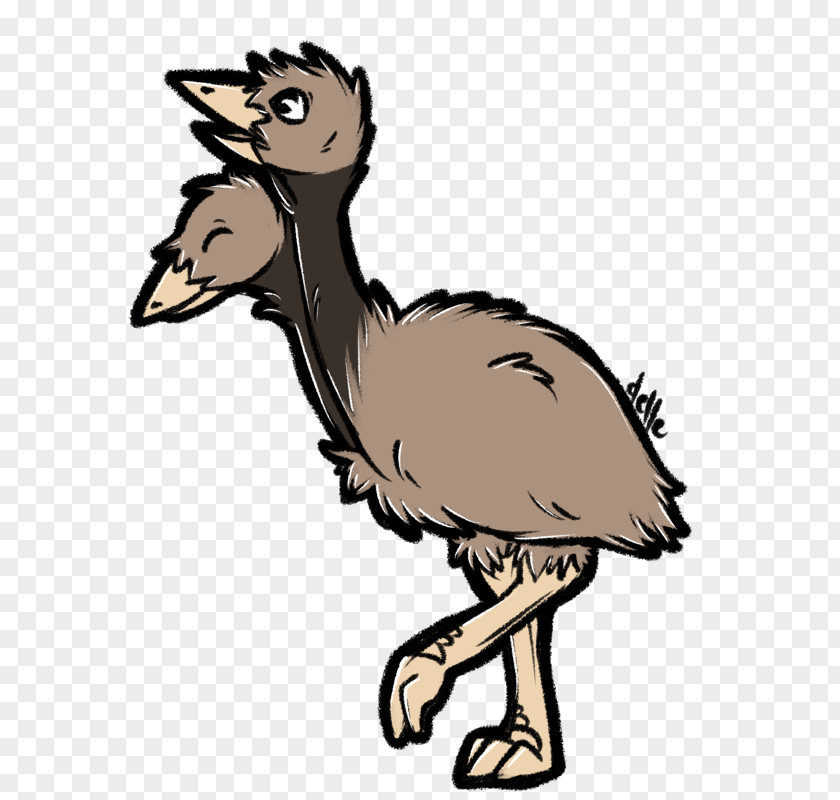 Common Ostrich Doduo Emu Horse Camel PNG