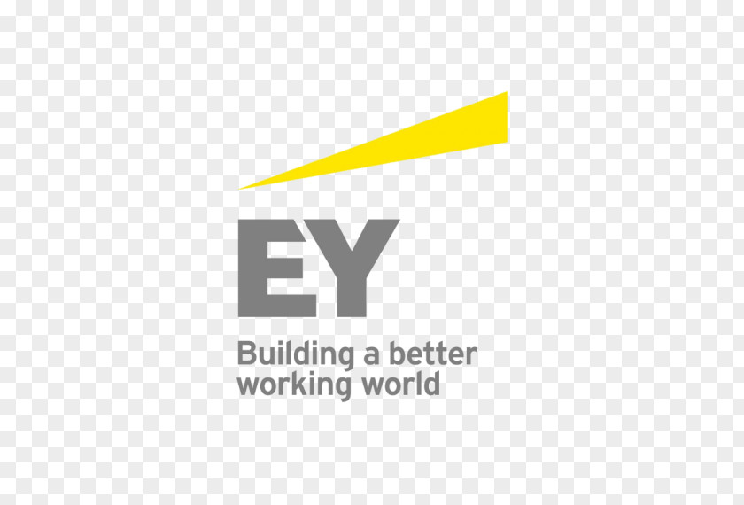 M) Business Management ConsultingBusiness Ernst & Young Advisory Services Sdn Bhd (811619 PNG