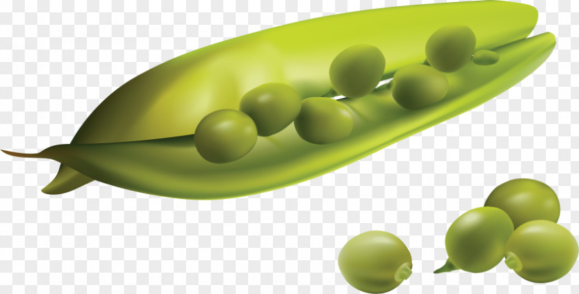 Pea Vegetable Vector Graphics Image PNG