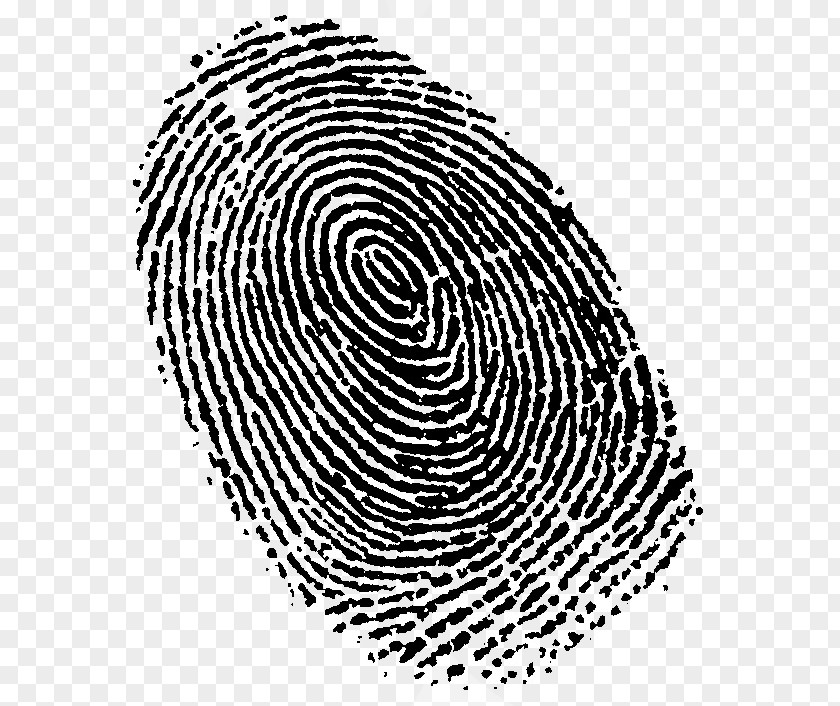 Fingerprint Live Scan Lawyer Crime PNG