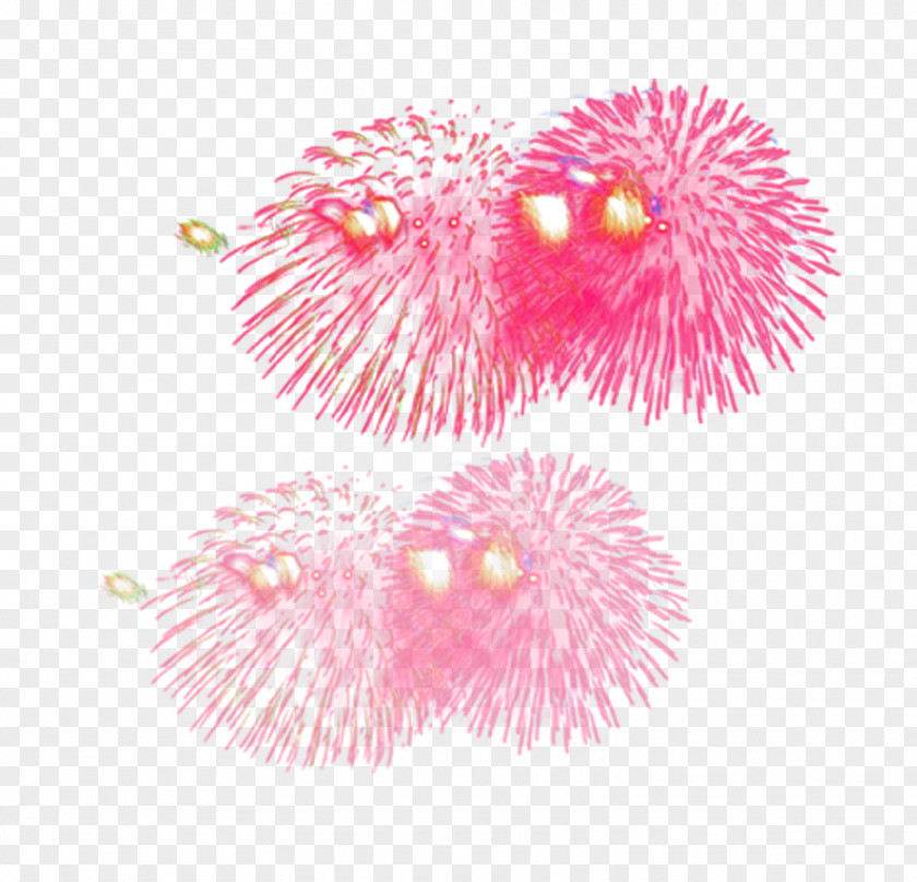 Fireworks Light Pyrotechnics Clip Art PNG