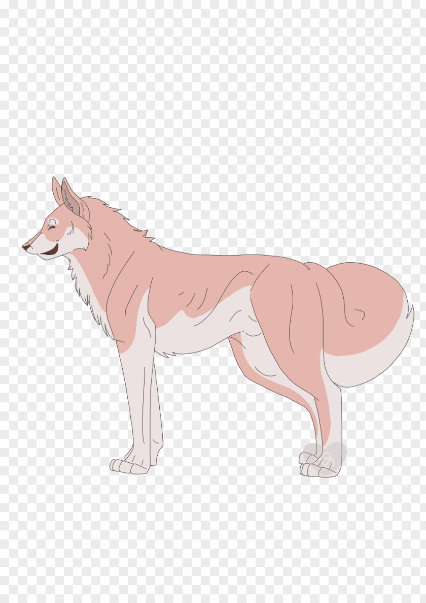 Husky Dog Mammal Canidae Carnivora PNG