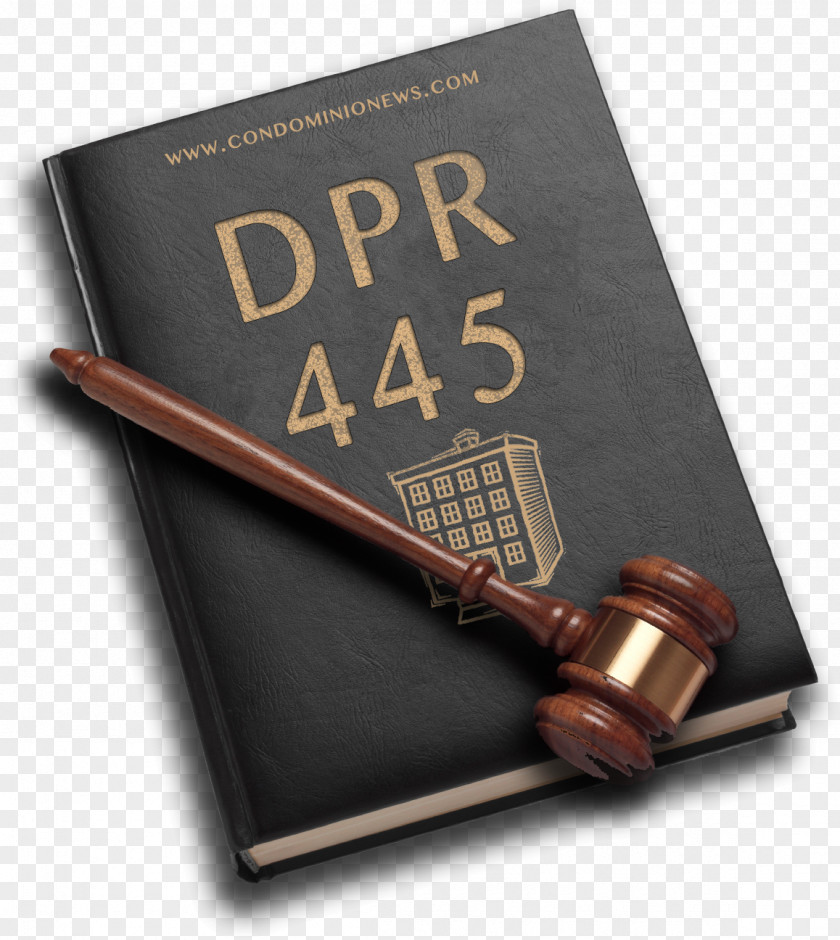 Lawyer Legal Aid Advice Law Enforcement PNG