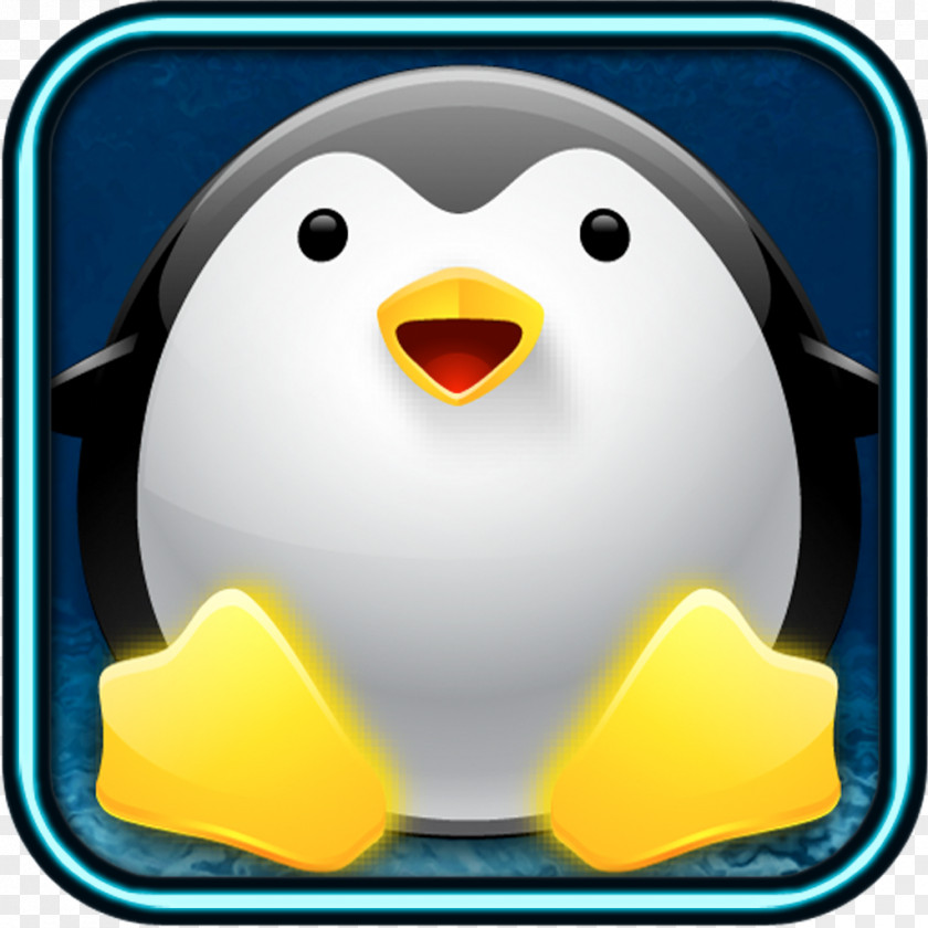 Linux Penguin Flightless Bird Vertebrate Animal PNG