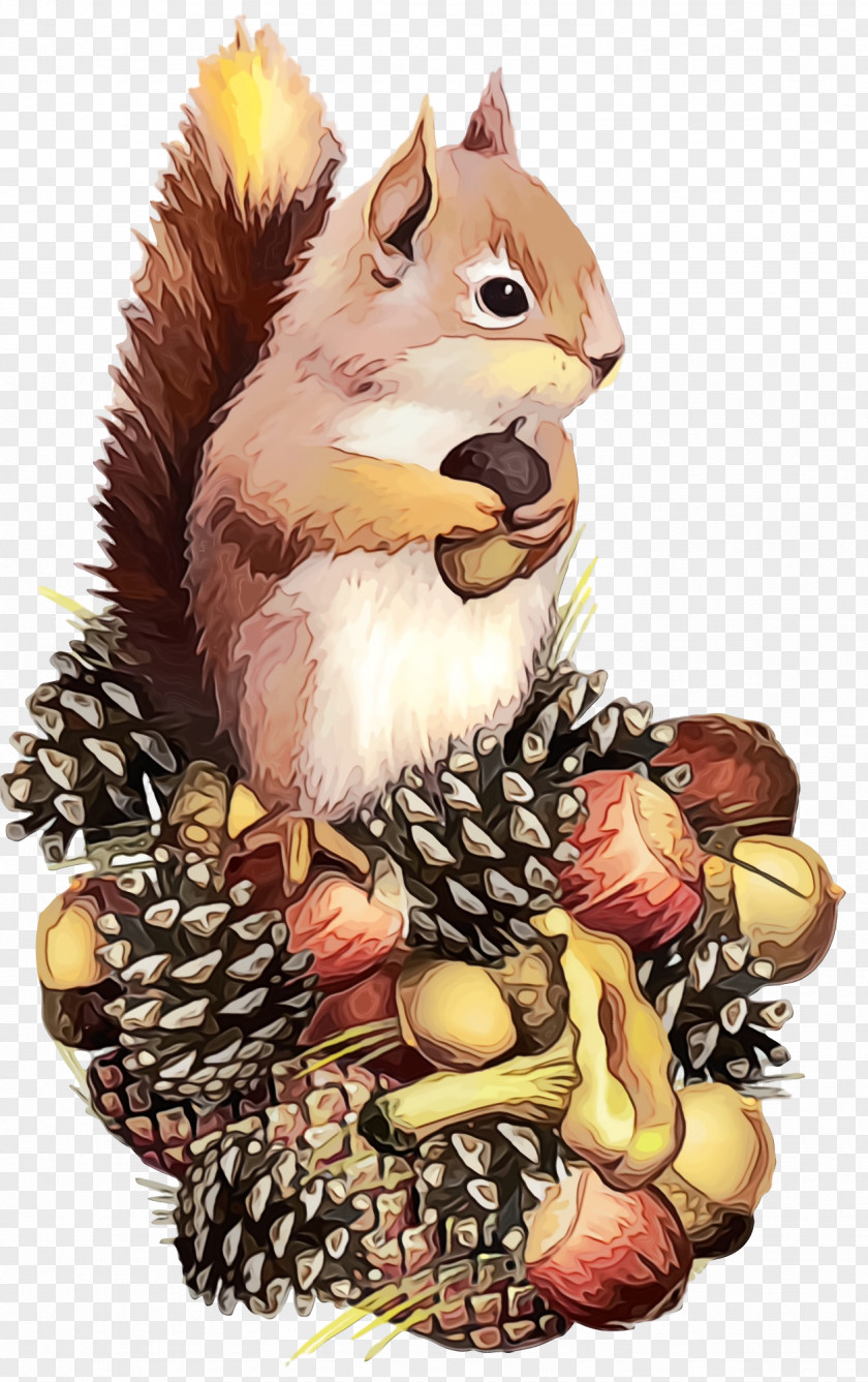 Squirrel Cartoon Eurasian Red Chipmunk Animation PNG
