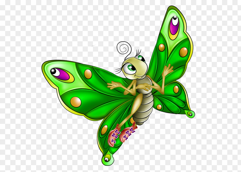 Butterfly Insect Clip Art PNG