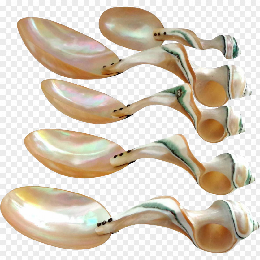 Conch Cutlery Spoon Tableware Material PNG