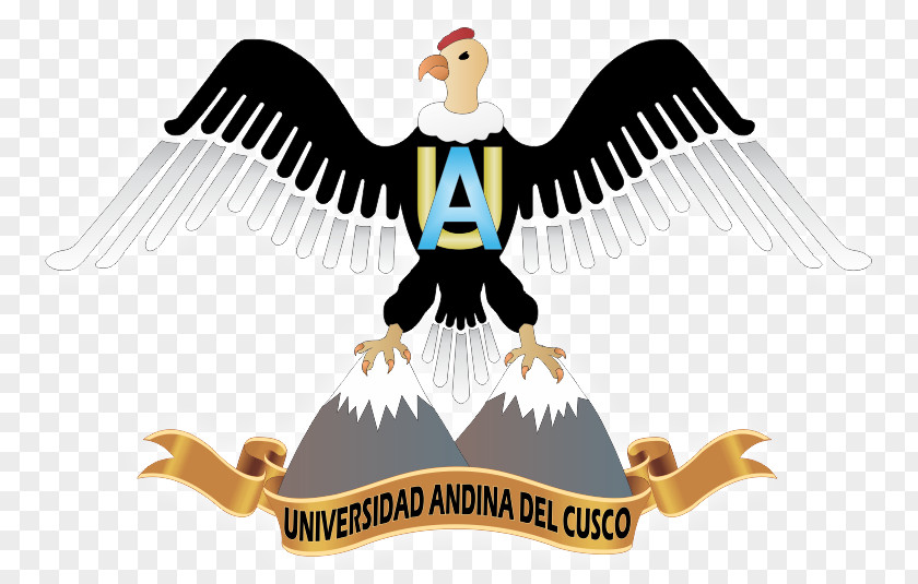Cusco Faculty Of Engineering The Andean University National Saint Anthony Abbot In Cuzco Provincial Municipality Colegio Arquidiocesano San Antonio Abad PNG