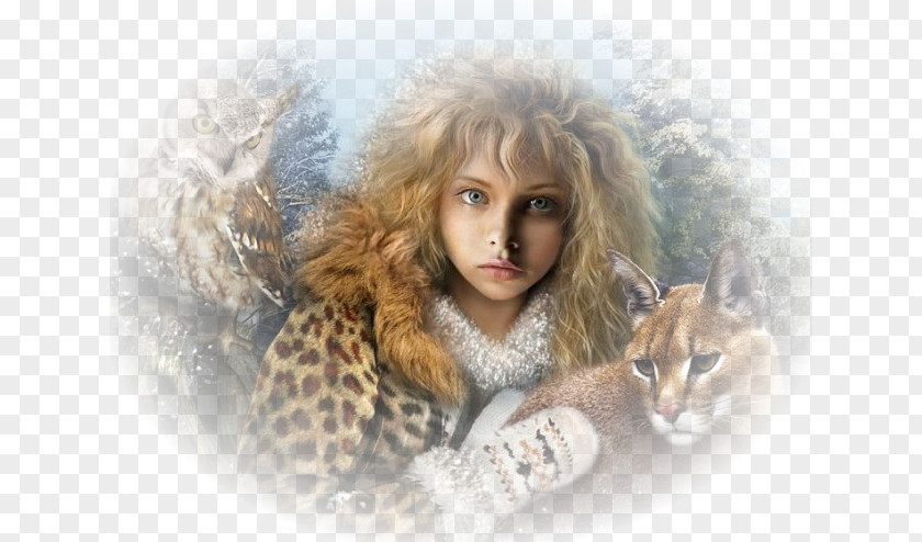 Fairy Fantasy Lynxes Cat Elf PNG