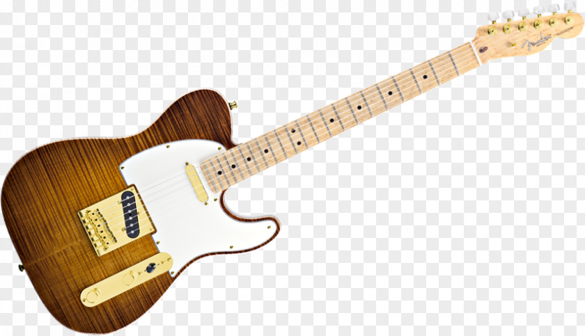 Guitar Fender Telecaster Thinline Fingerboard Musical Instruments Corporation PNG