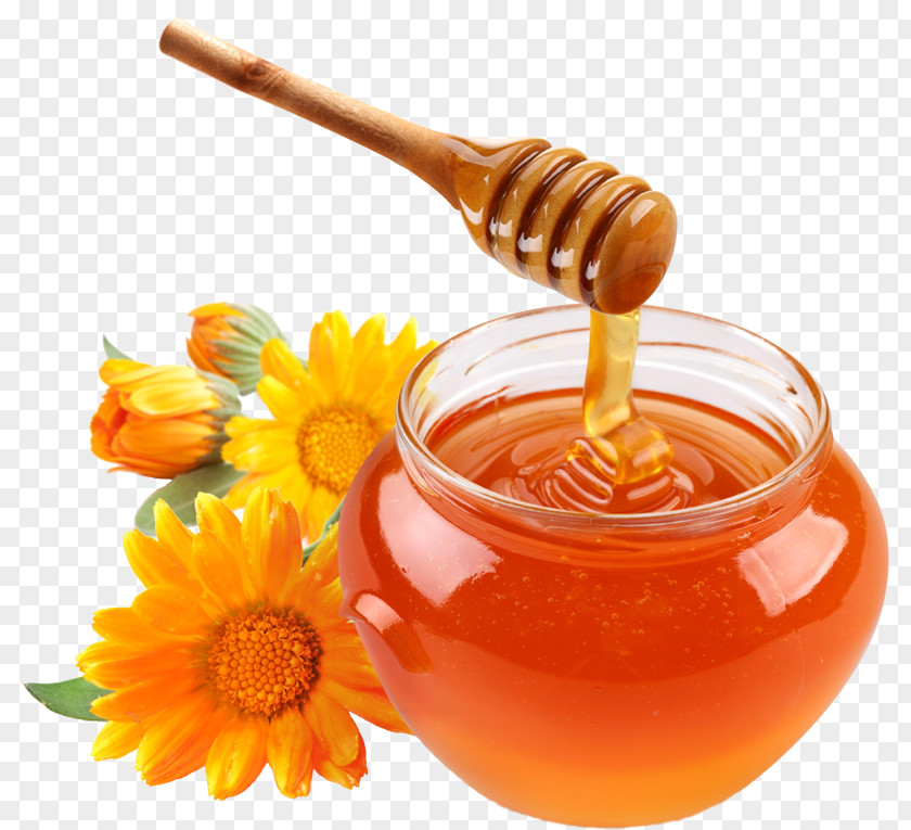 Honey Bee Food Ingredient Monofloral PNG