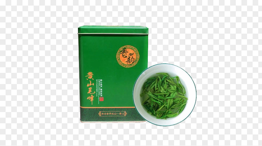 New Tea Green Huangshan City Maofeng PNG