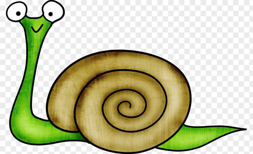 Snail Drawing Child PNG