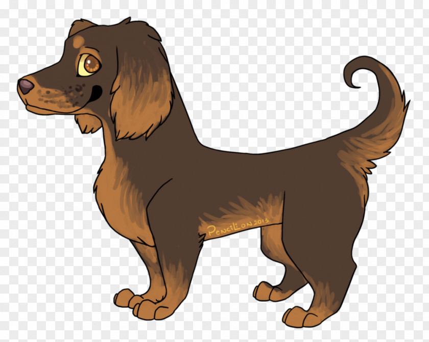 Dog Drawing Pictures Boykin Spaniel Puppy Breed PNG