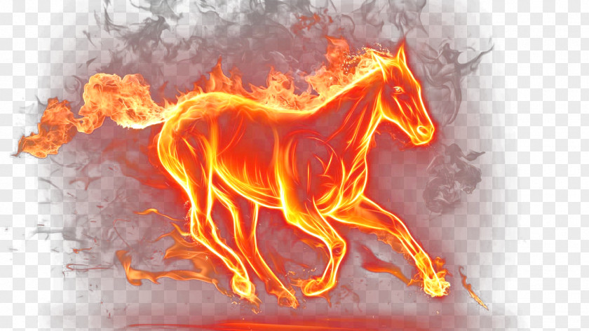 Fire Horse Mustang Display Resolution Wallpaper PNG