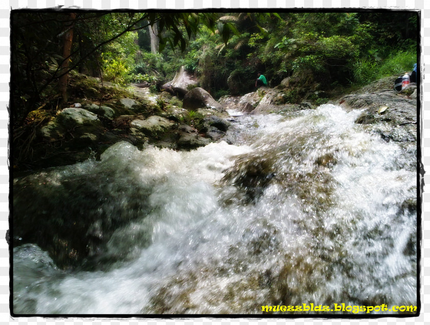 Roti Channai Water Resources Nature Reserve Stream Vegetation Watercourse PNG