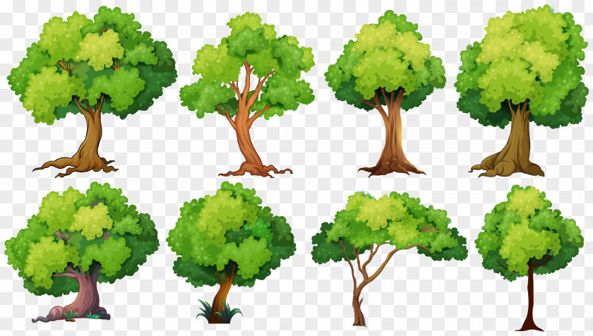 Tree Planting Royalty-free Illustration PNG