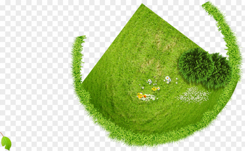 Vibrant Green Grass Of Spring Flowers Download PNG