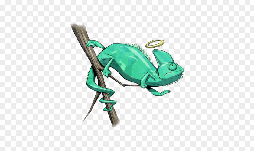 Amphibian PNG