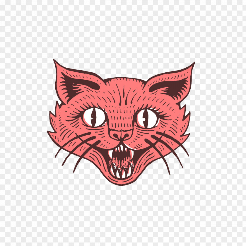 Beak Cartoon Cat Whiskers PNG