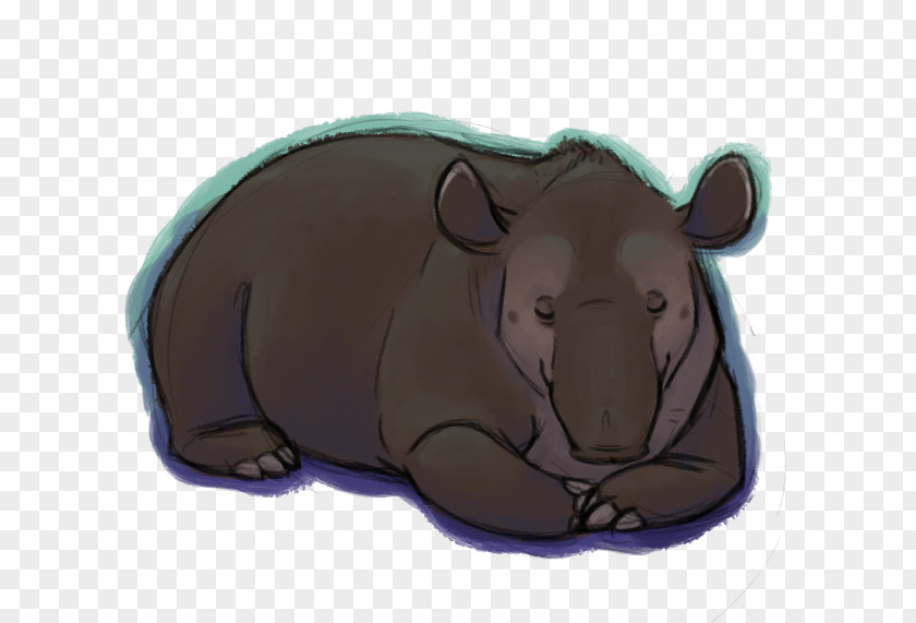 Bear Pig Snout Animated Cartoon PNG