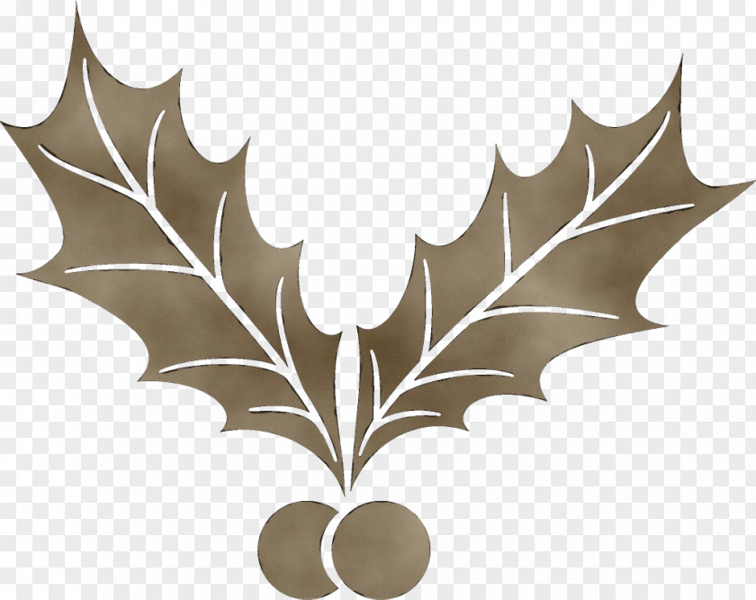 Blackandwhite Scarlet Oak Holly PNG