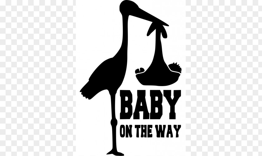 Child Infant White Stork Childbirth Family PNG