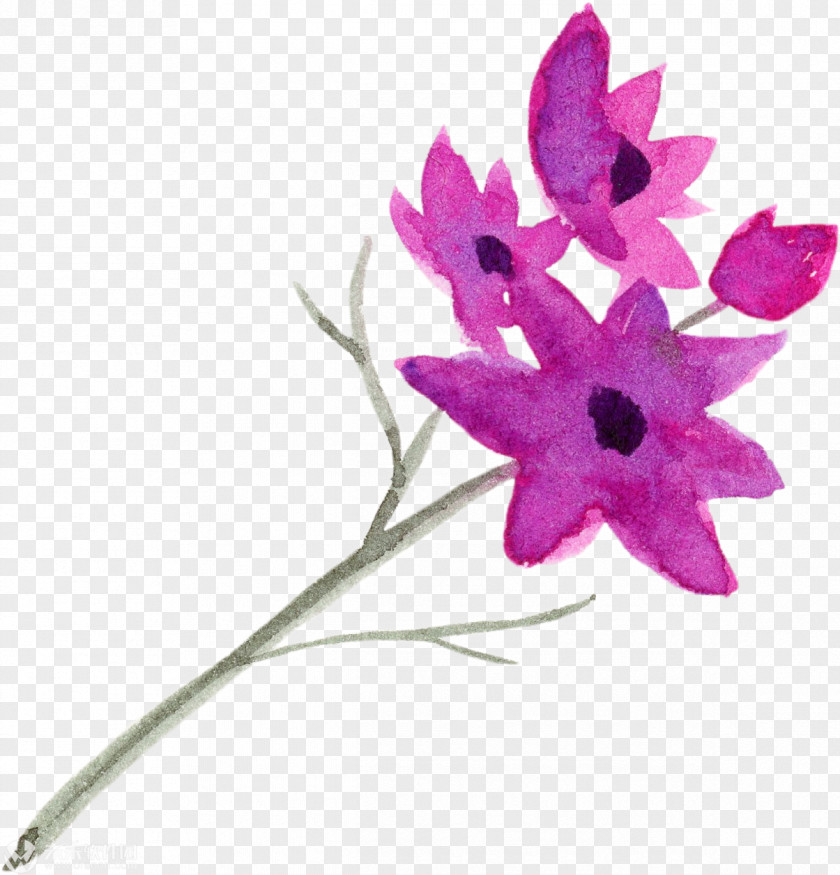 Greeting Flower Illustration Painting Image PNG