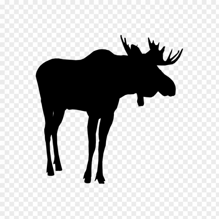 Horn Deer Animal Cartoon PNG