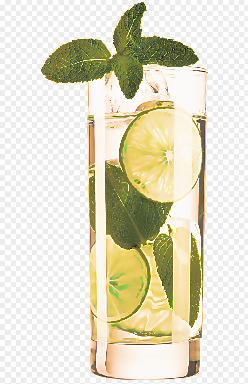 Lemonlime Drink Lime Key Citrus Lemon Highball Glass PNG