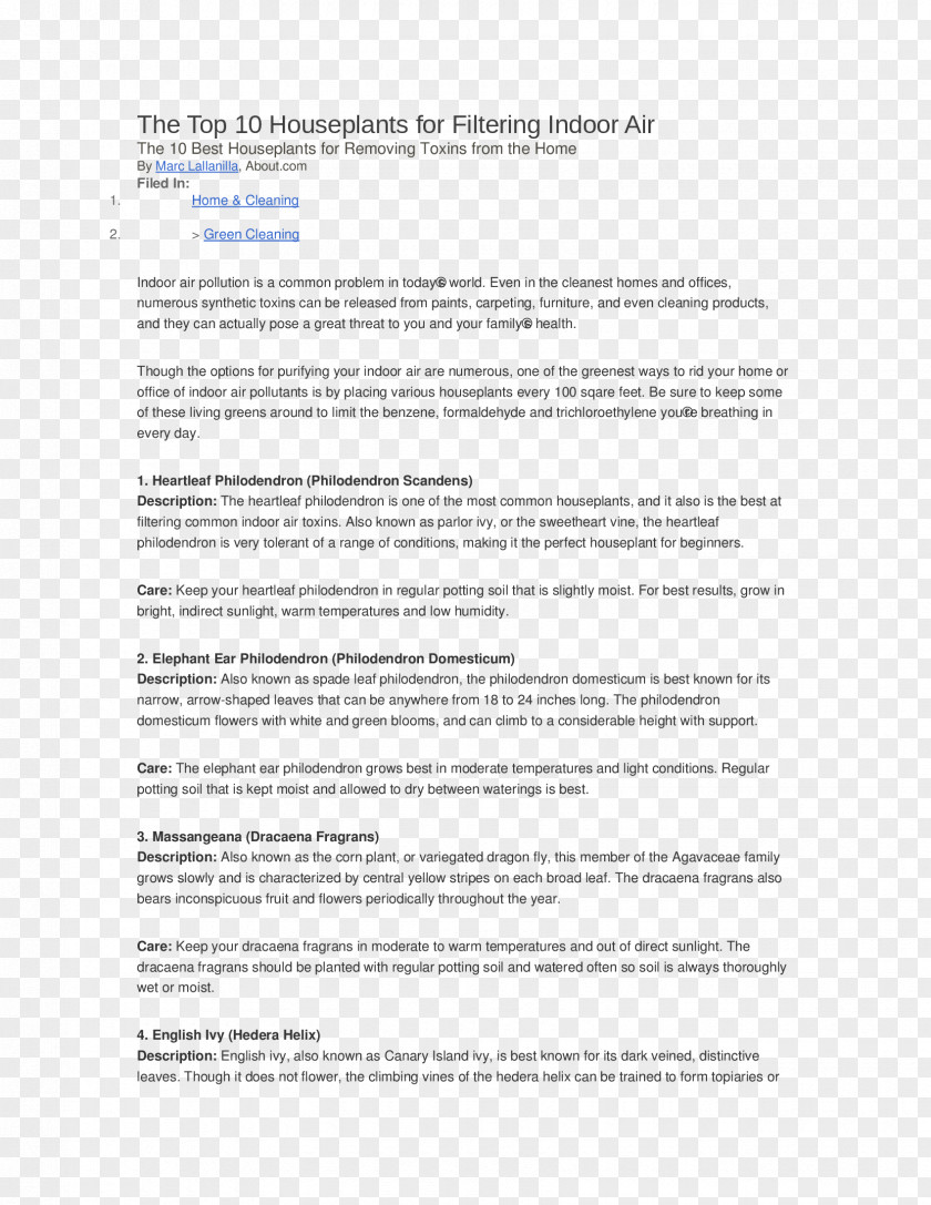 Line Document Screenshot Recipe Common Fig PNG