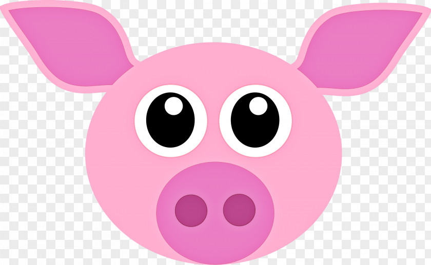 Livestock Magenta Pink Cartoon Nose Snout Suidae PNG