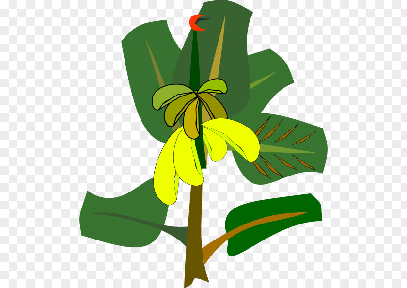 Banana Plant Cliparts Split Clip Art PNG