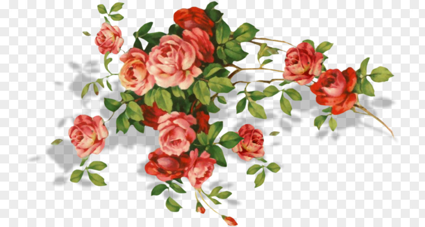 Decor Garden Roses Flower Bouquet Birthday Floral Design PNG