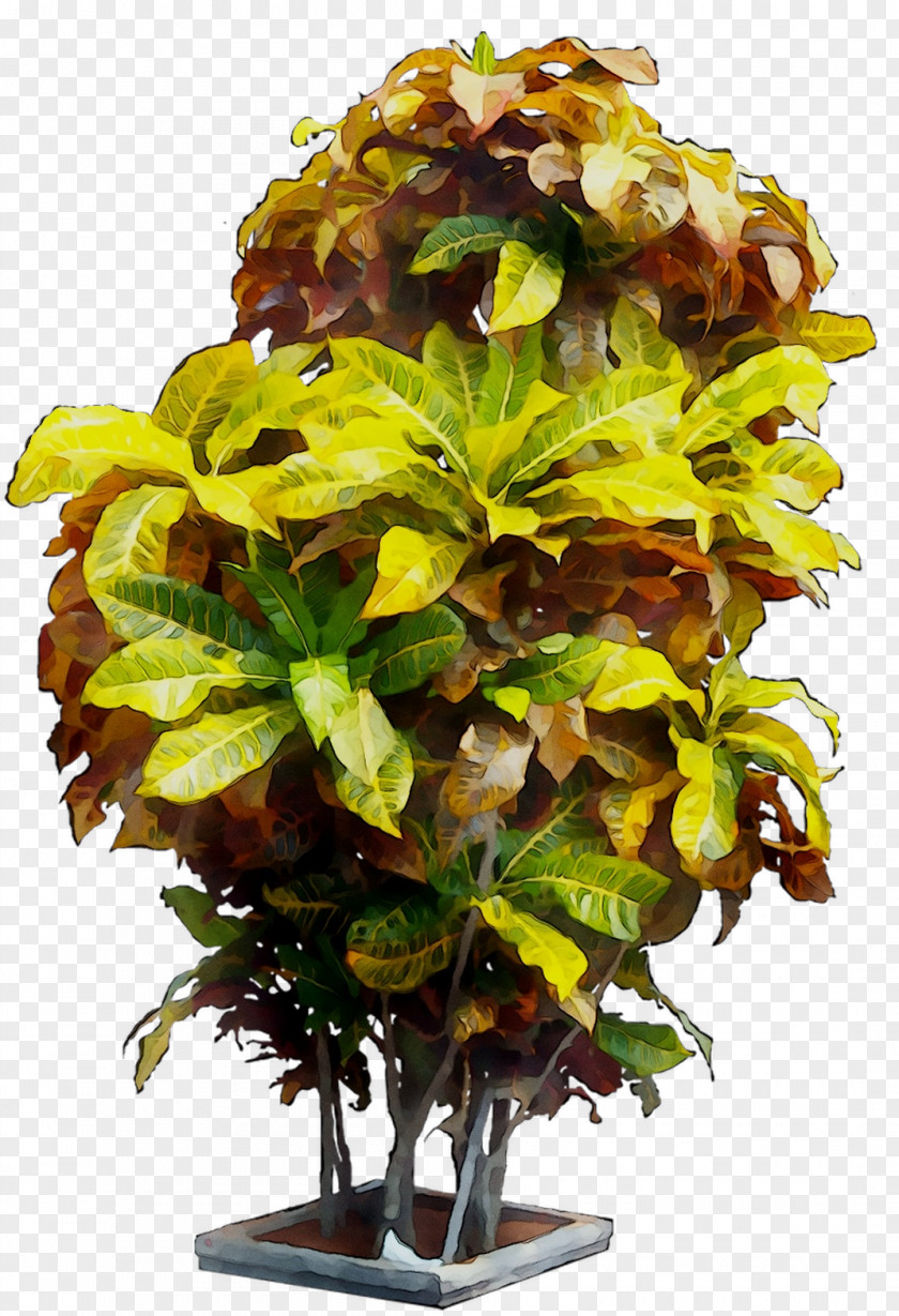 Floral Design Flowerpot Houseplant Tree PNG