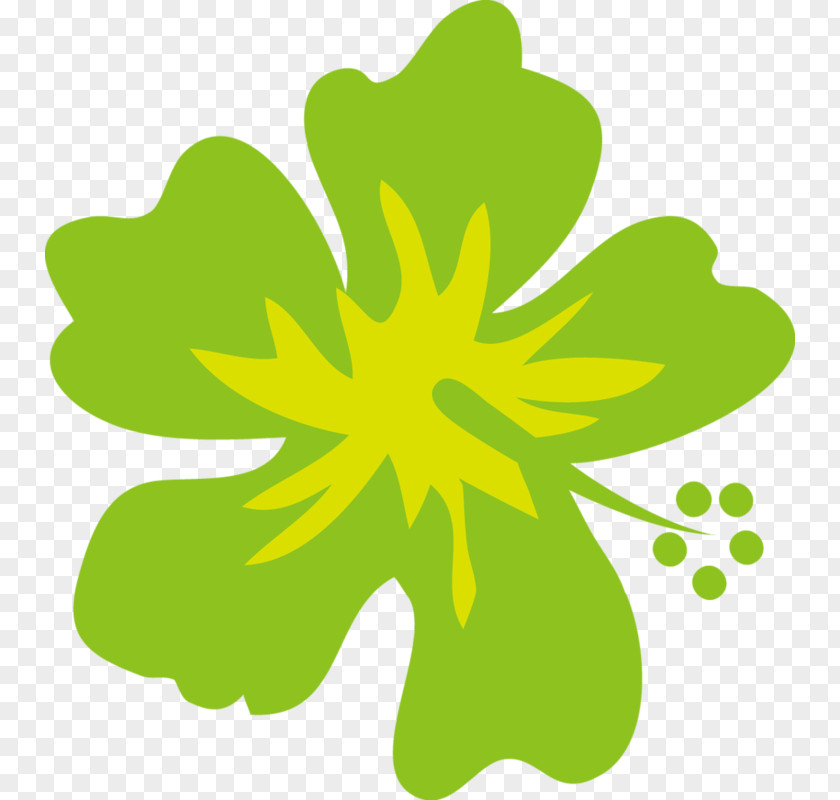 Herbaceous Plant Shamrock Birthday Party Background PNG
