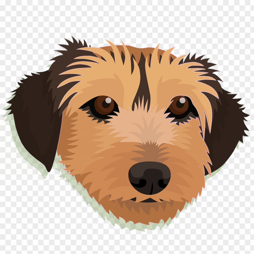 Puppy Dog Breed Retriever Whiskers PNG